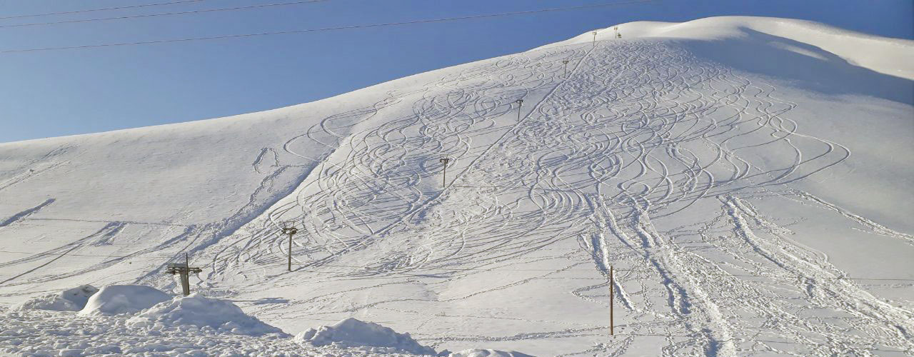 پیست اسکی و اسنوبرد بارده